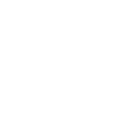 transportadores-de-botellas-mecanicos