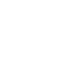 transportadores-de-cajas